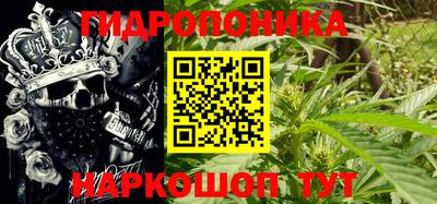 спиды Можга