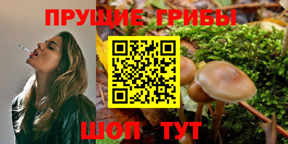 Псилоцибиновые грибы ЛСД  Галлюциногенные грибы Psilocybine cubensis  Великий Новгород  наркотики  Вход с VPN 